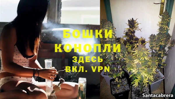 альфа пвп Горно-Алтайск