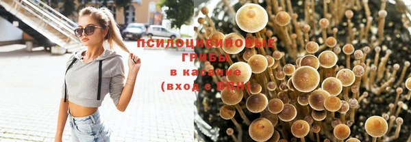 герыч Вязьма